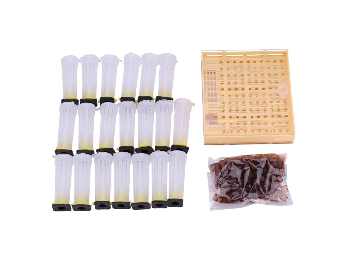 Kit de Criação de Rainhas com Caixa BEEKeeper