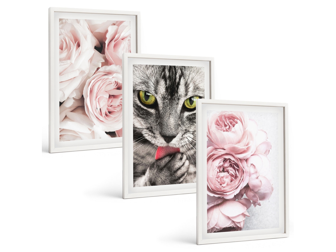 Conjunto De Pinturas Gato Em Flores Rosa Espelharte (3 Peças 40x60 Cm)
