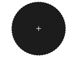 Jumping Mat, Jumping Mats Vidaxl Preto Polipropileno (3.66 M)