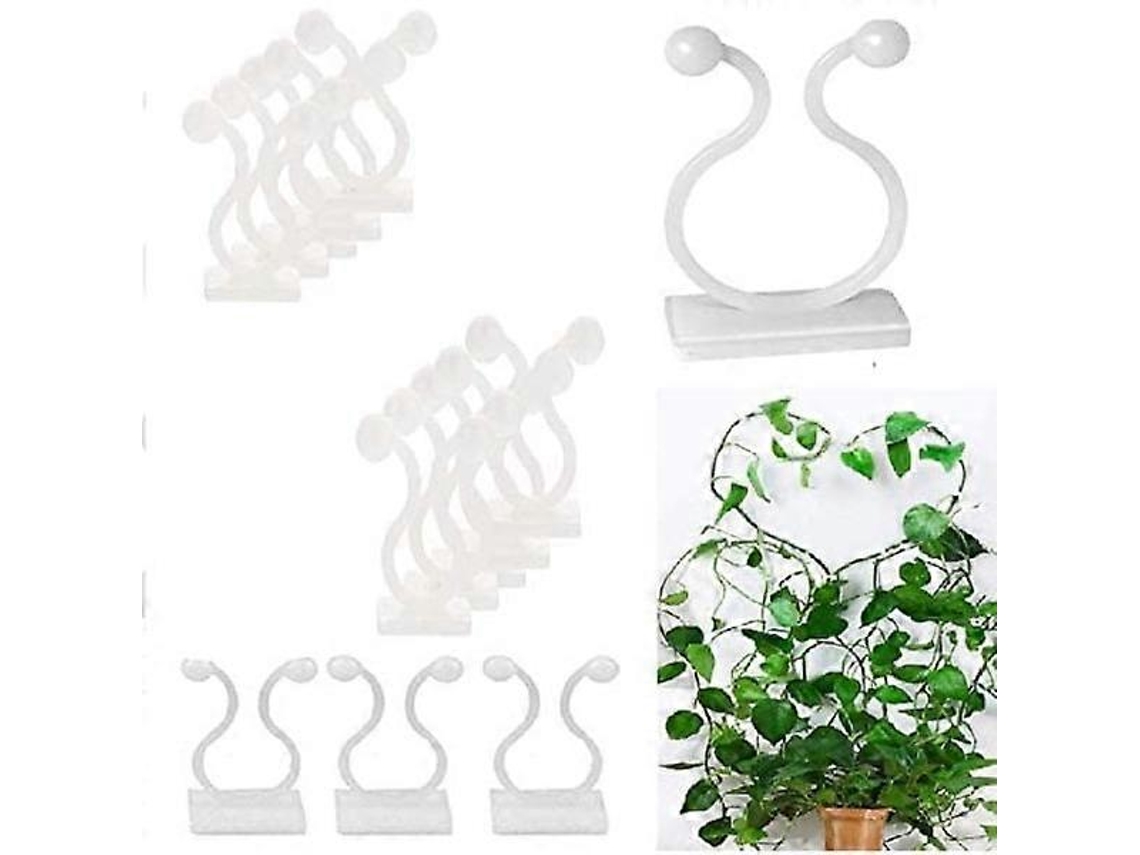 50 Clips de Plantas Autoadhesivos para Trepar Paredes, Organizar Vides Y Cables, Plásticos Duraderos, Fácil Instalación Verde