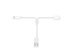 Carregador 2 em 1 Compatível com Dispositivos Apple LAXISCREED