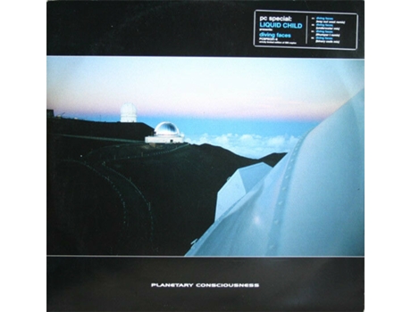 Vinil Diving Faces Planetary Consciousness