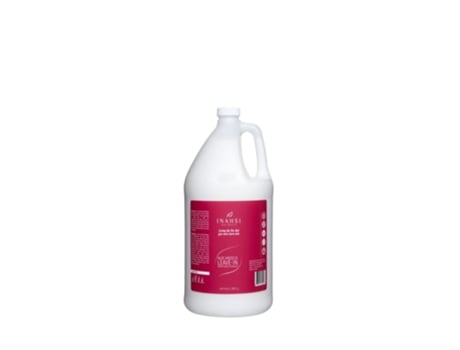 Condicionador Leave In Aloe Hibiscus Desembaraçador 1.892l Inahsi Naturals
