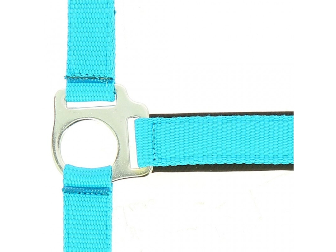 Cabresto para cavalos Norton Fluo