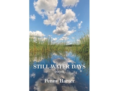 Livro StillWater Days de Penny Harter (Inglês)