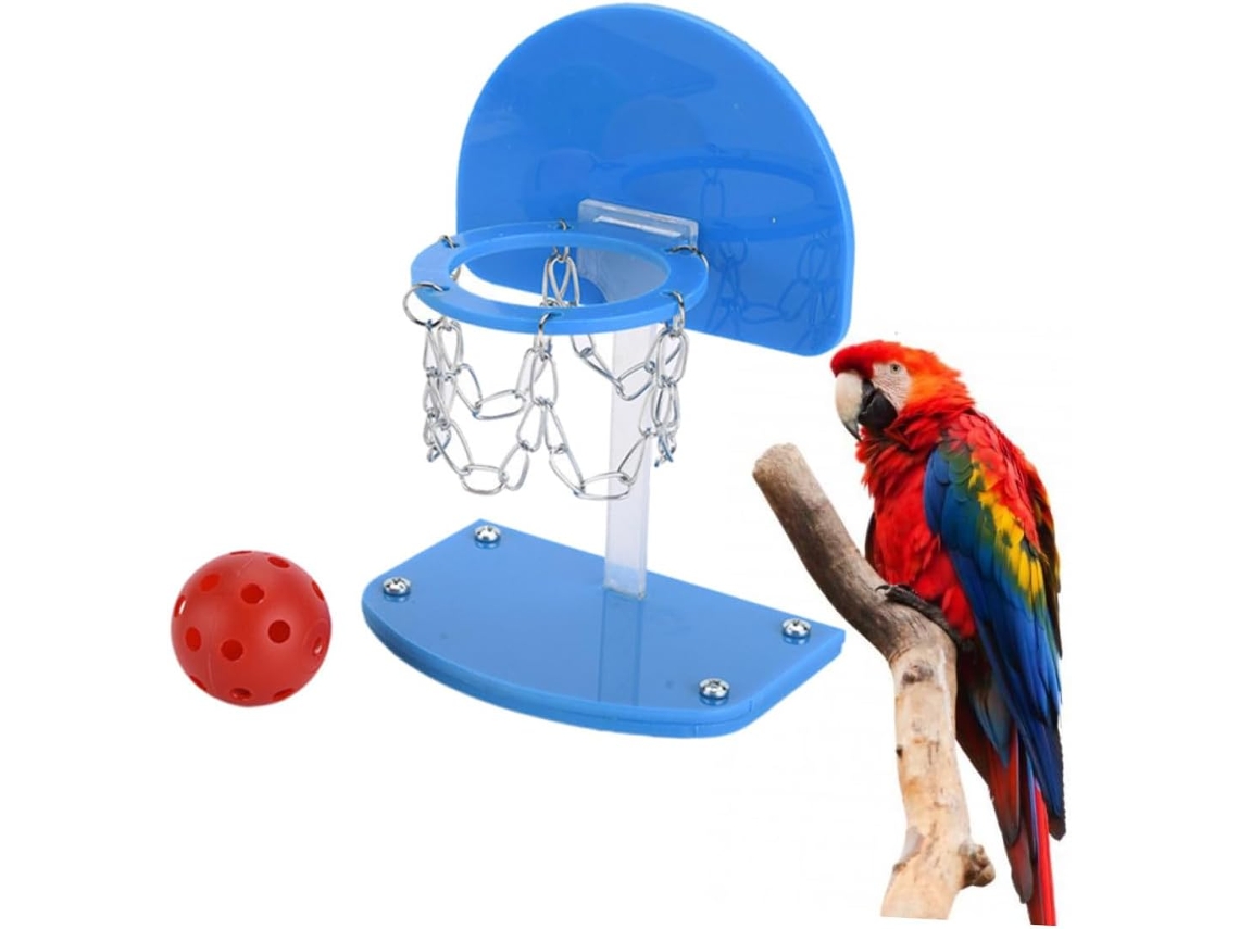 Mini Cesta De Basquete Para Papagaios...