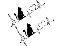 Adesivos decorativos em PVC para carros danificados, conjunto de 2 unidades, formato Gato Preto