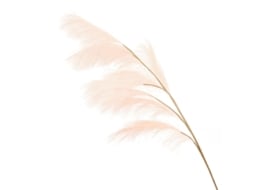 Capim Pampas Falso 110cm S/MARCA