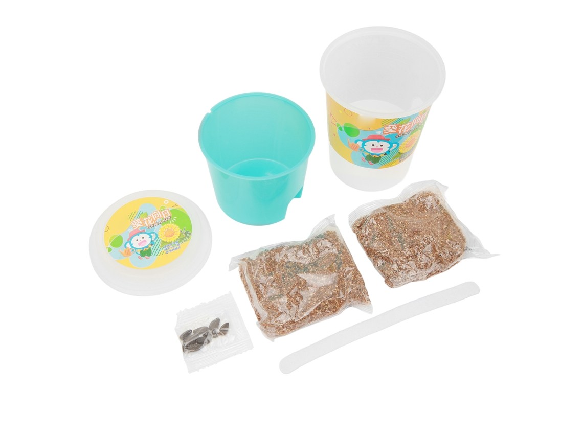 Kit de Crescimento de Plantas DIY com Sementes e Solo para Crianças | S/MARCA