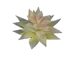 Planta Suculenta Artificial LAXISCREED