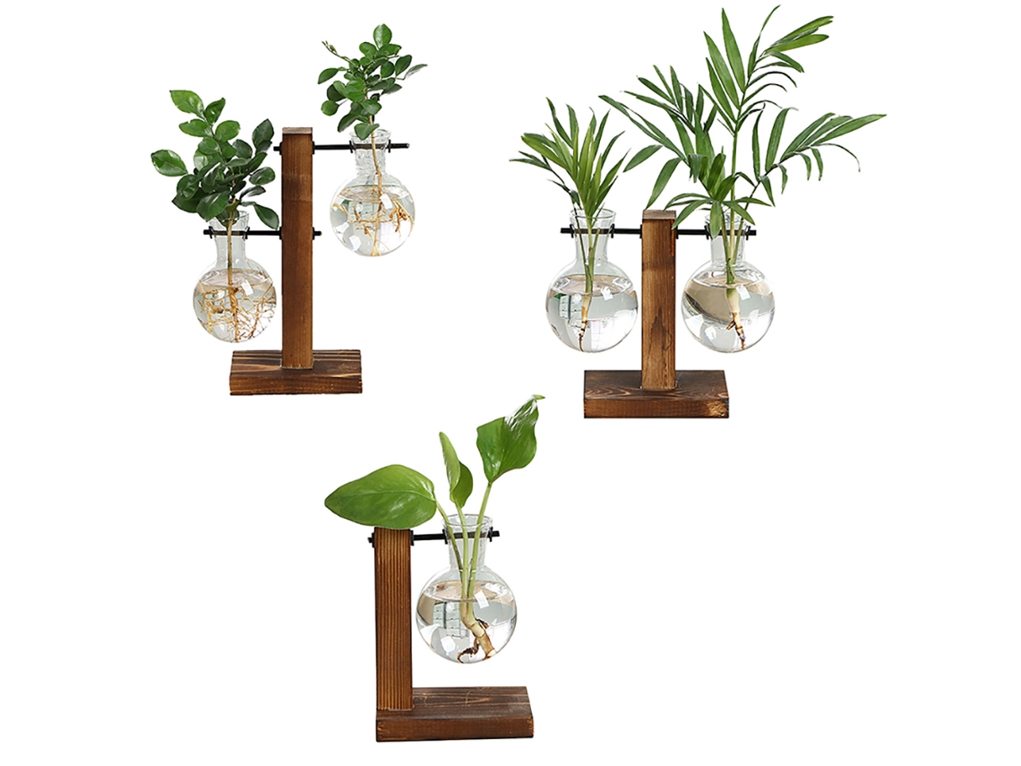 Laxiscreed Vaso De Vidro Com Suporte De Madeira Para Hidroponia E Decoração Moderna