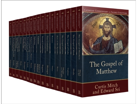 Livro catholic commentary on sacred scripture new testament set de series edited by peter s williamson , series edited by mary healy (inglês)