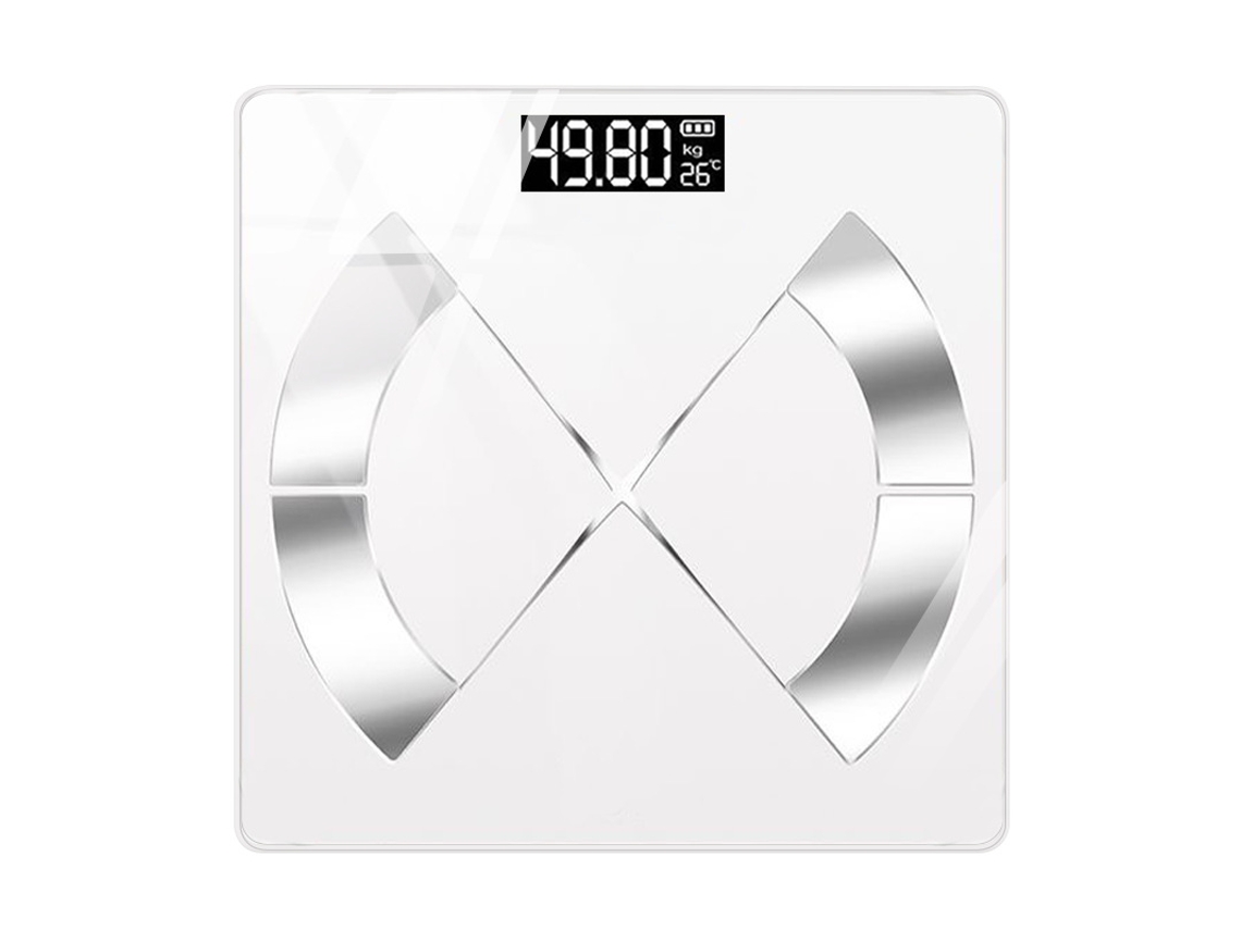 Balança de Laboratório, 500 g/0,1 g, AQUAFORGE