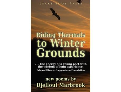Livro Riding Thermals To Winter Grounds De Djelloul Marbrook (inglês)