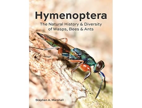 Livro Hymenoptera de Stephen A Marshall (Inglês - Capa Dura)
