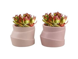 Conjunto De 2 Vasos De Cerâmica De Forma Irregular Creativos Para Plantas Pequeñas Cactus A+b