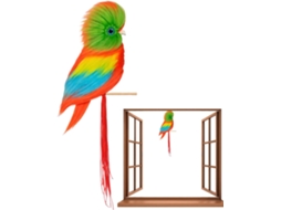 Enfeites Artificiais, Divertidos, Tropicais Es Às Intempéries em Forma de Animais, para Decoração de Janelas e Janelas, CHABERLU