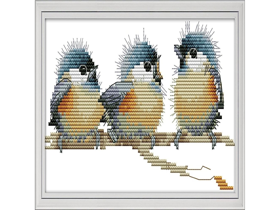 Kit De Ponto Cruz Little Bird Bordado Set Slowmoose