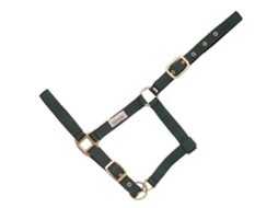 Dobro Sem Mosquetão Halter Nylon Verde Ponyhispano Hipica