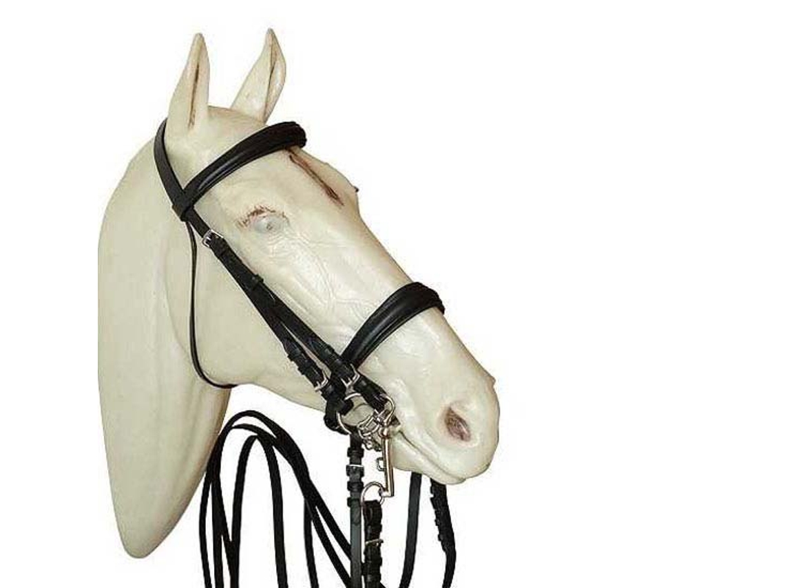Adestramento para Bridão e Freio Winoseband 0131625Nf Beige Fullmarjoman Distribucion