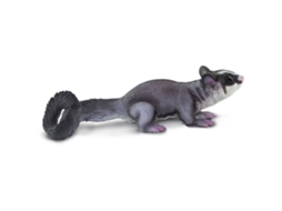 SAFARI Sugar Glider