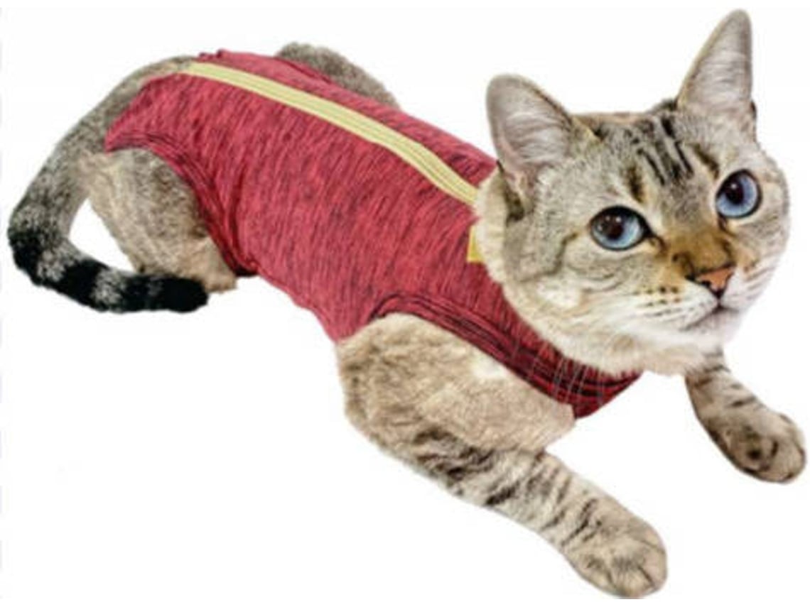 Roupa Pós Cirurgia para Gatos PET MED Dry Plus (Vermelho - Até: 6 Kg - S - Porte Pequeno)