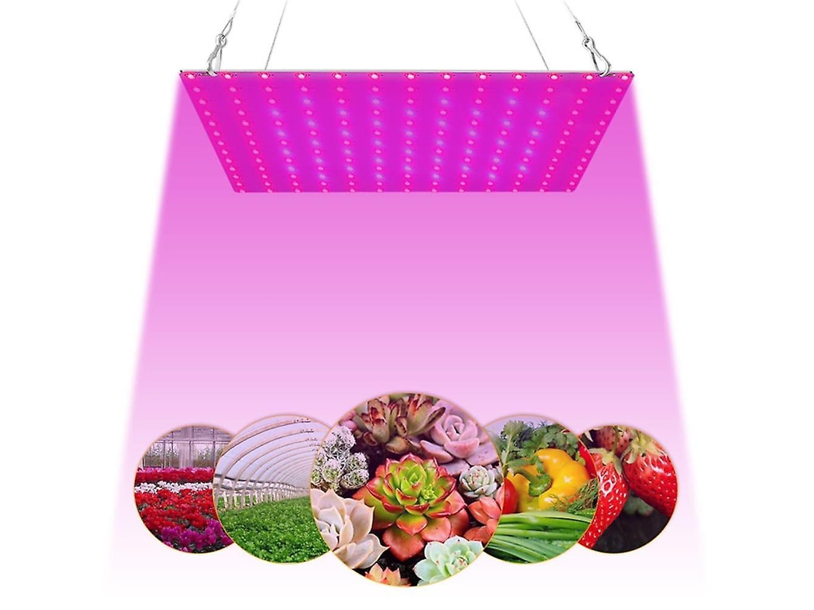 Peça 81leds 169 Leds Led Grow Light Para Ambientes Internos Espectro Completo Slowmoose