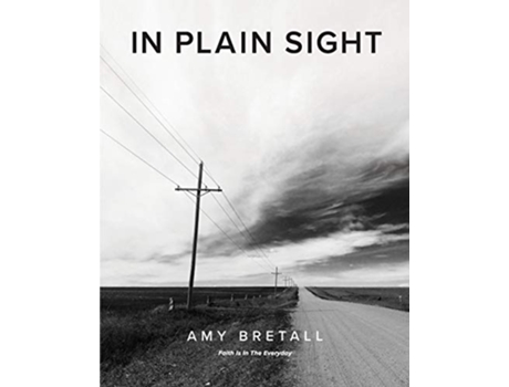 Livro In Plain Sight Faith Is In The Everyday de Amy Bretall (Inglês)