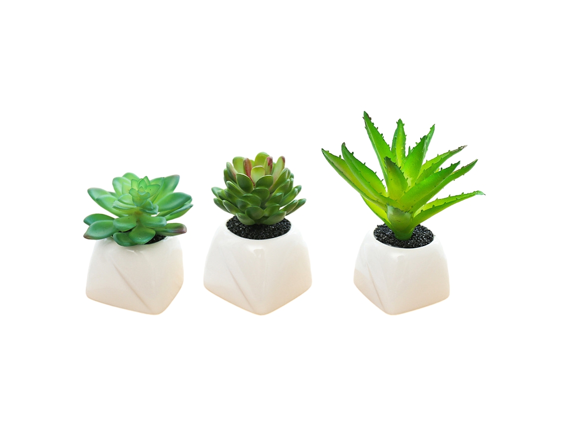 3 Peças de Plantas Suculentas Simuladas Pequenas Plantas Verdes Ornamentos Criativos Plantas Artificiais NEVEANCE