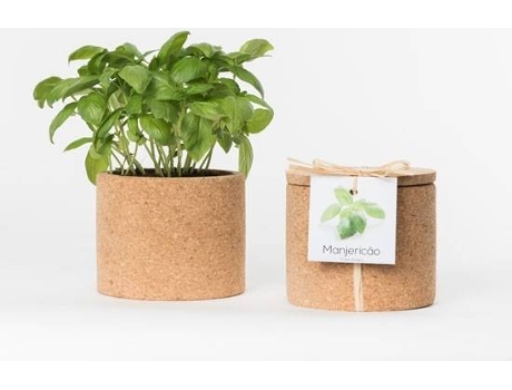 Vaso  Grow Cork Pot Manjericão