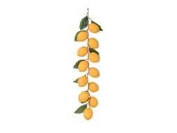 Frutas Grandes Online 12 Unidades Diâmetro 10cm Comprimento 53cm