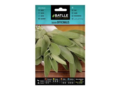 Envelope de Sementes de Salvia Officinalis