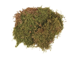 Musgo seco em folha 100 g Rayher