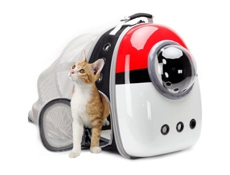 Mochila De Bolhas Transparente Interfashioner Para Gatos E Cães De Até 5.5 Kg