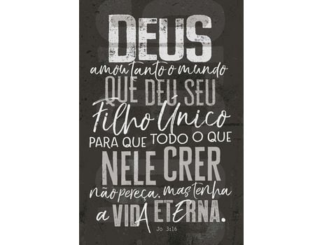 Livro Biblia Nvt Letra Normal Joao 3.16 Chumbo de Mundo Cristao (Português-Brasil)
