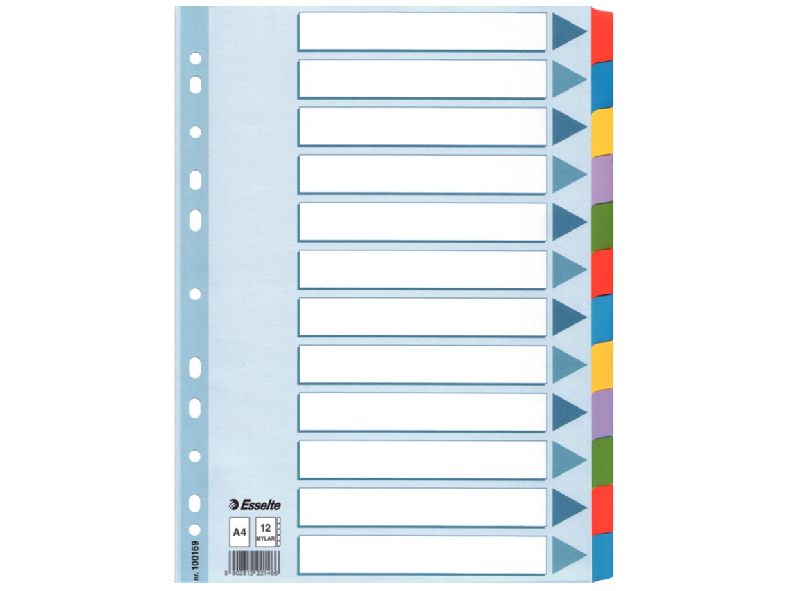 100169 Índice Tab Blank Divider Com Tab Multicolor Cardboard Esselte