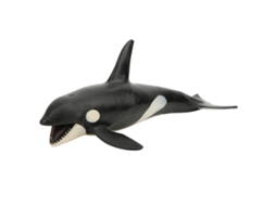 Mali modelo de Animal Orca Simulação Vida Marinha Brinquedo Educativo Infantil Pvc Ecológico