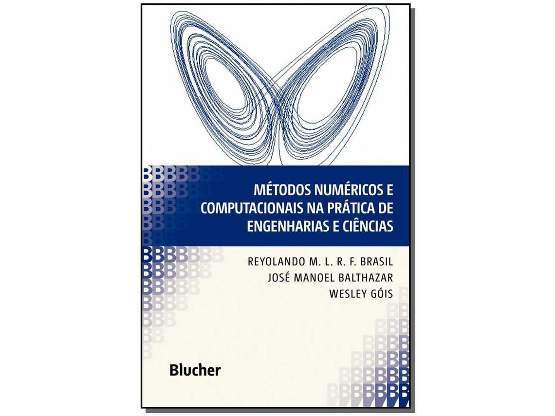 Livro Metodos Numericos e Computacionais na Pratica de E de Brasil (Português do Brasil)