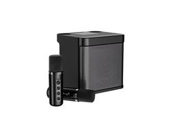 Conjunto de Colunas de Karaoke Bluetooth de Luxo com Microfone Sem Fios para Casa