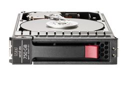 Disco Interno HEWLETT PACKARD 750Gb Hot-Plug Sata Hdd 3.5