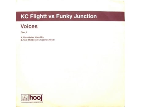 Vinil Voices, Kc Flightt Vs Funky Junction Hooj Choons