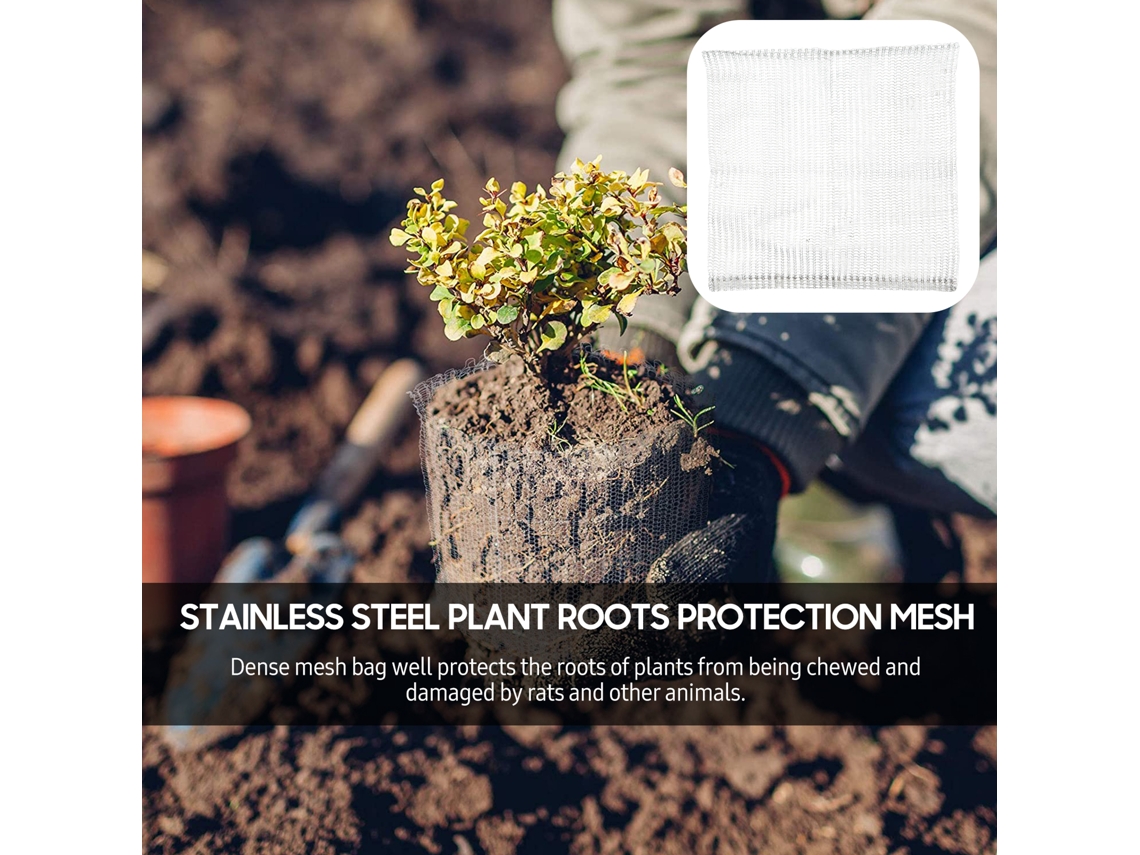 Laxiscreed Cestos Protéticos De Raízes Em Aço Inox, Kit De 6 Peças Para Proteção De Plantas