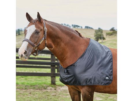 Protetor de Ombro em Cetim para Cavalos WEATHERBEETA