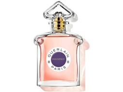 Perfume GUERLAIN  Insolence Eau de Toilette (75 ml)