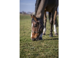 Cabresto para cavalos Norton Club Cuir