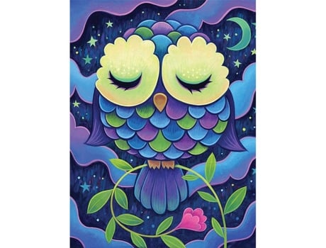 Kit de Pintura Diamante Coruja Coruja Meia-Noite 40x30cm Ctop