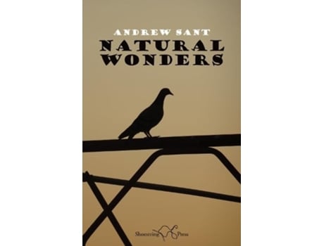 Livro Natural Wonders de The Book Typesetters (Inglês)