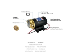 Bomba De Engrenagem Autoescorvante Laxiscreed Com Válvula De Latão E Base De Borracha