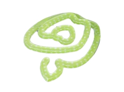 Clip de Papel Fruta Verde Decorativo Casa Escola