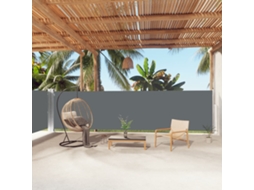 Vidaxl Toldo Lateral Retrátil 160x1000 Cm Antracite